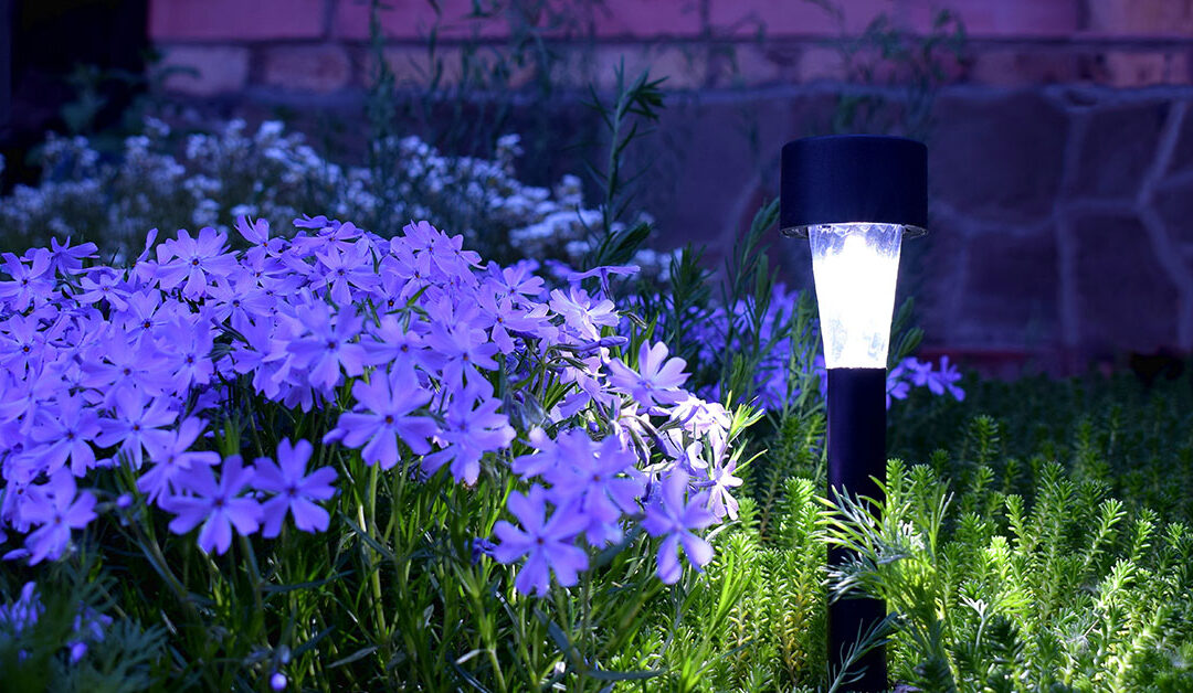 Spring Spruce Up: Installing Solar Lights in Your Yard